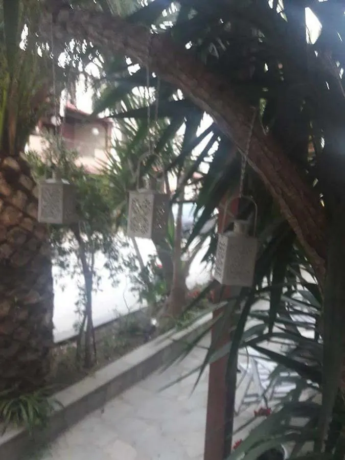 Guest house Alkyonari By Anna Hotel Ammouliani